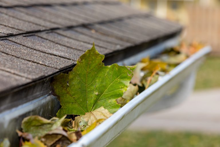 Leaves in Gutter System