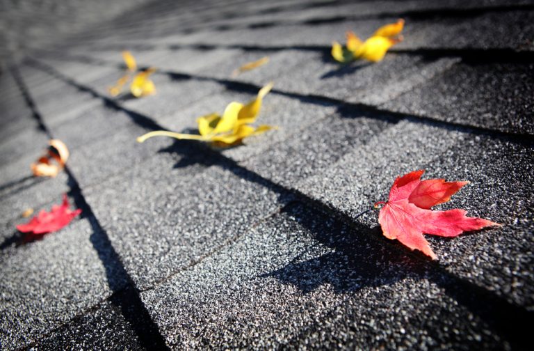 Leaves on shingles