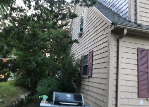 Old Siding & windows