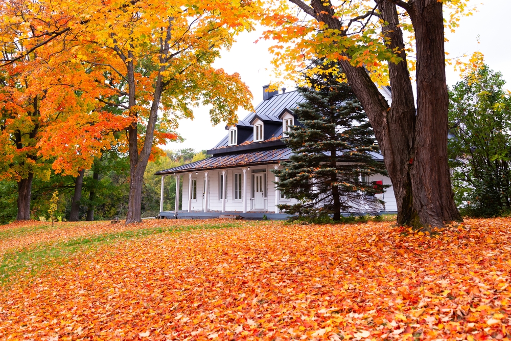 a home during the fall season surrounded by fall leaves